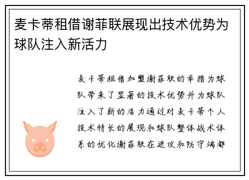 麦卡蒂租借谢菲联展现出技术优势为球队注入新活力